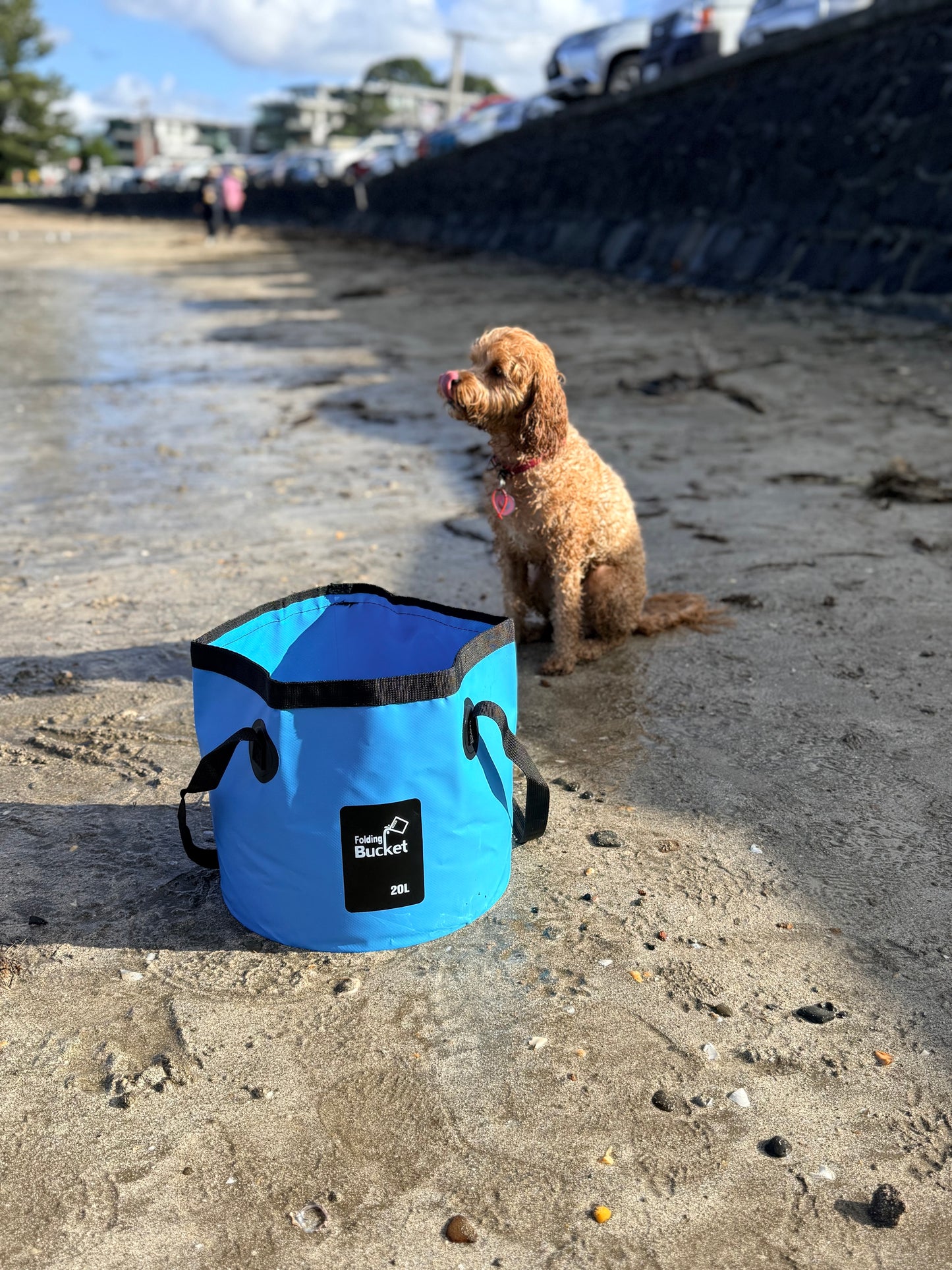 20L Collapsible bucket