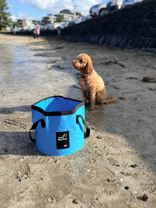 20L Collapsible bucket